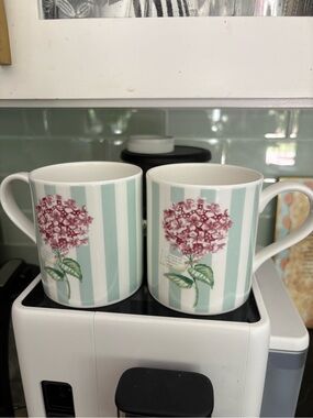 Roy Kirkham Flora Stripe Ceramic Coffee Mug - Mint and Pink (Set of 2) Fone Bone